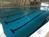 Pool painting